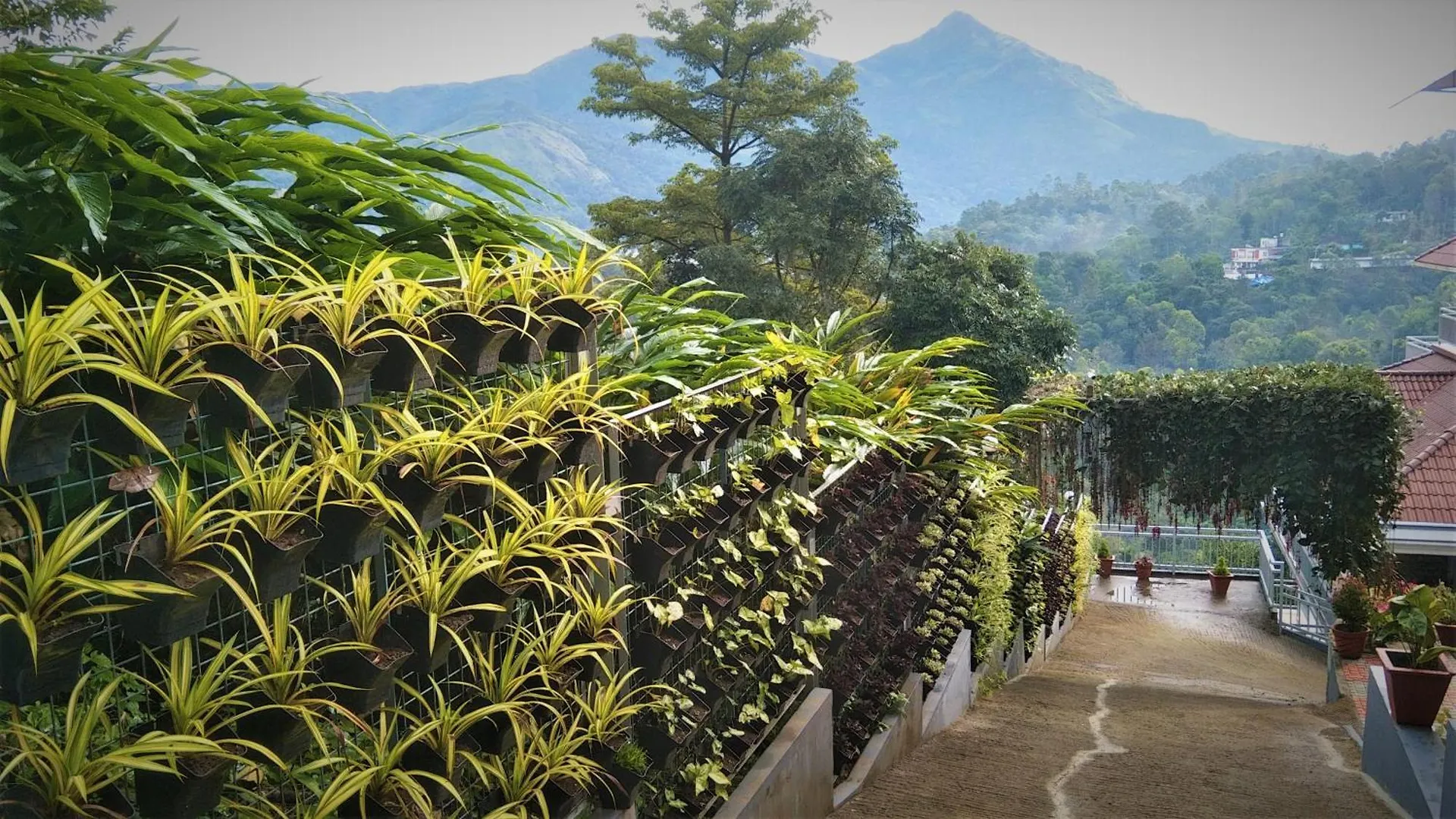 Zenha Resorts Munnar
